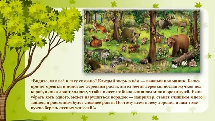 Слайд8