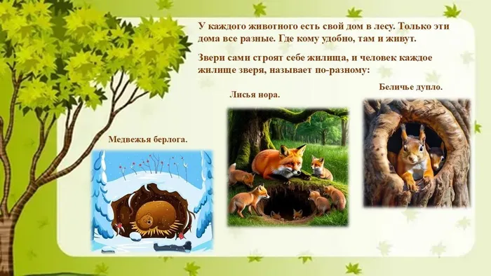 Слайд4