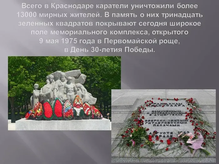 Слайд5