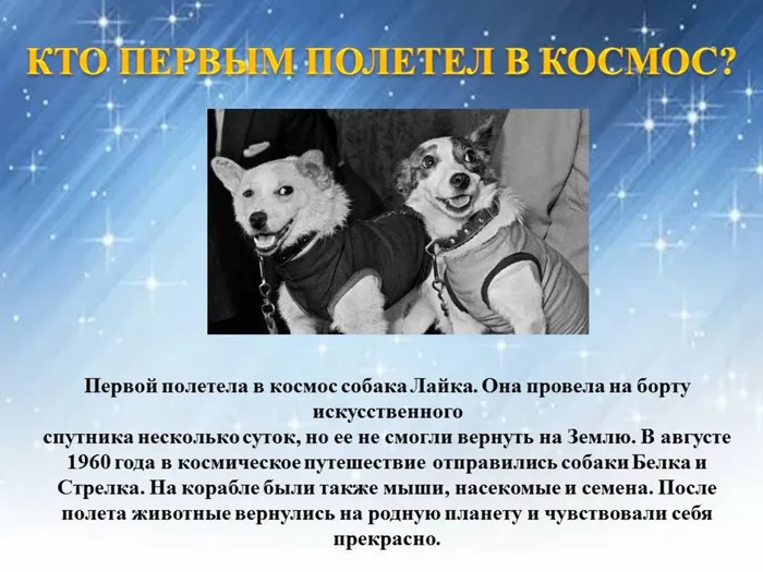 Слайд5.JPG