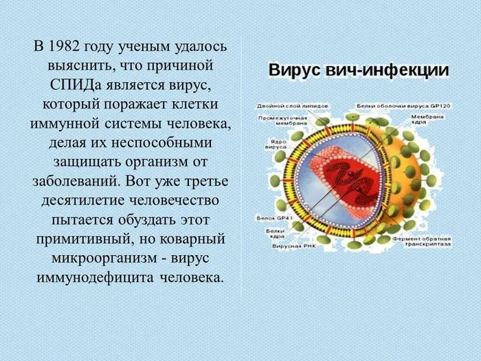 Слайд4