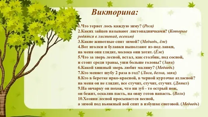 Слайд5