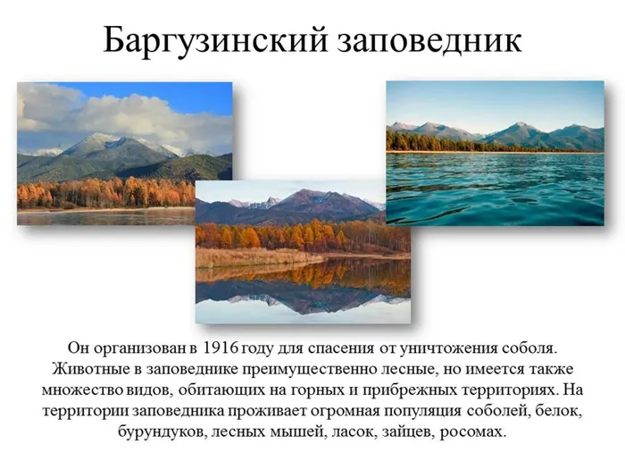 Слайд4.JPG