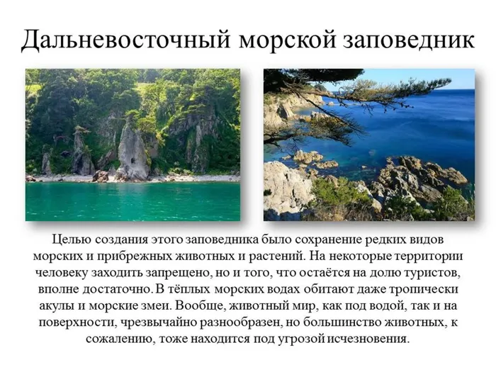 Слайд8.JPG