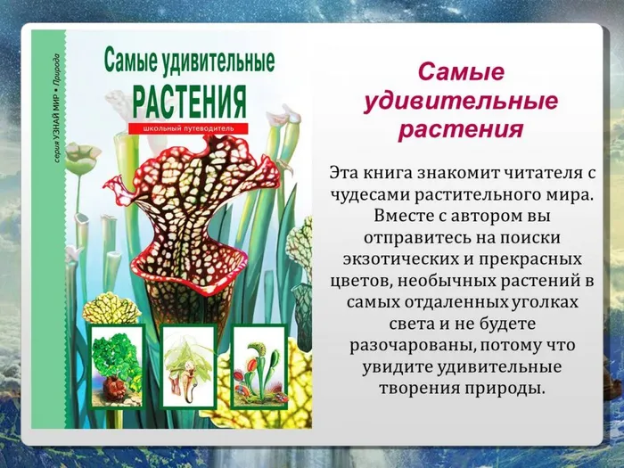 Слайд10