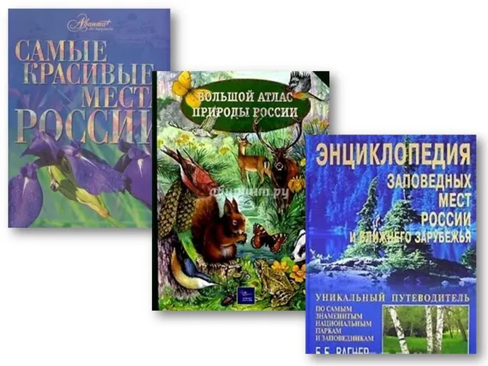 Слайд9.JPG