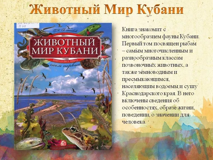 Слайд9