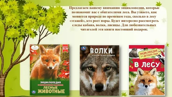 Слайд9