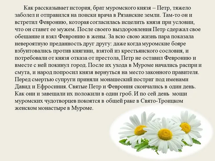 Слайд3
