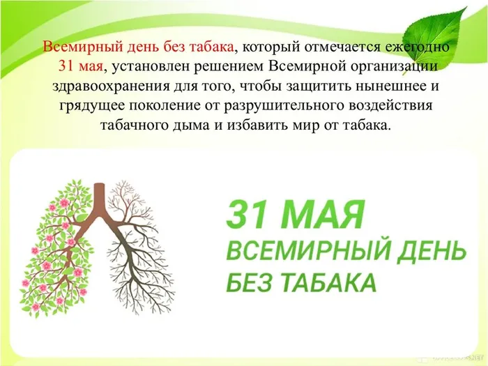 Слайд2