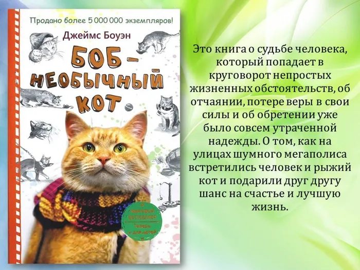 Слайд8