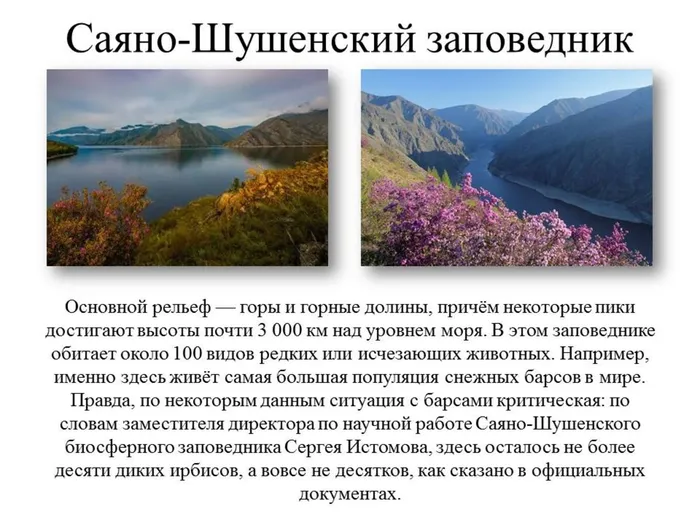 Слайд7.JPG
