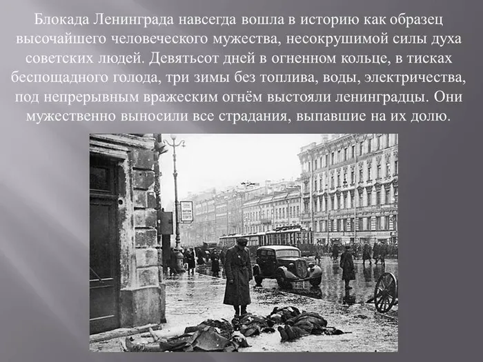 Слайд3