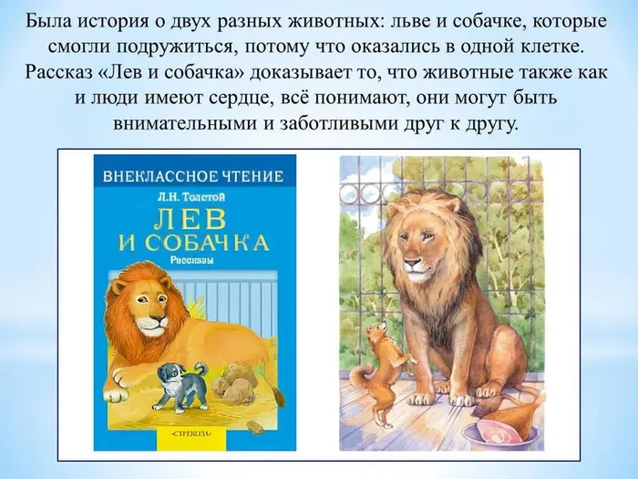 Слайд9