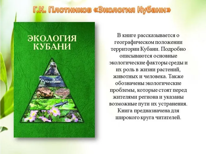Слайд2