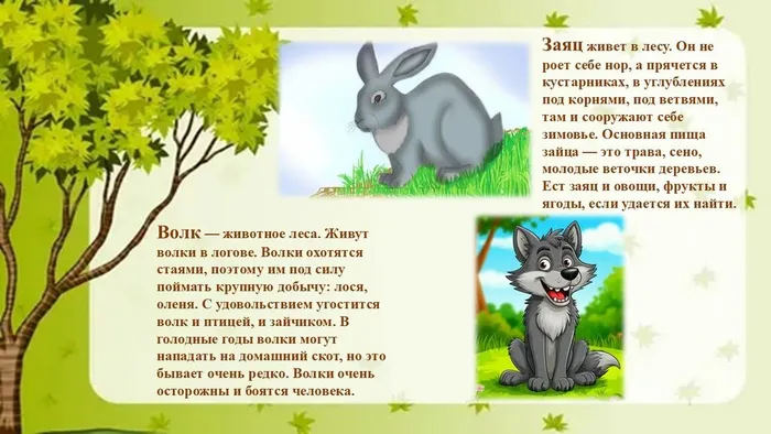 Слайд6