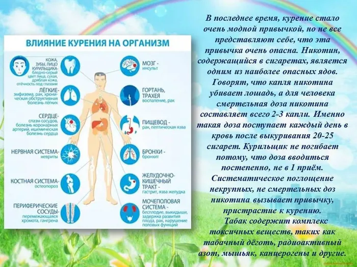 Слайд6