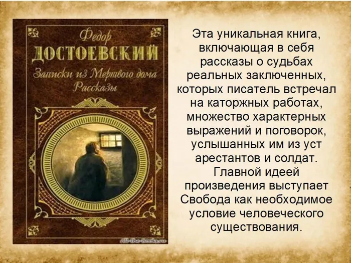 Слайд6