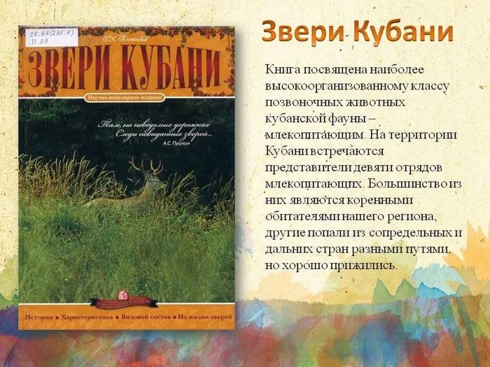 Слайд12