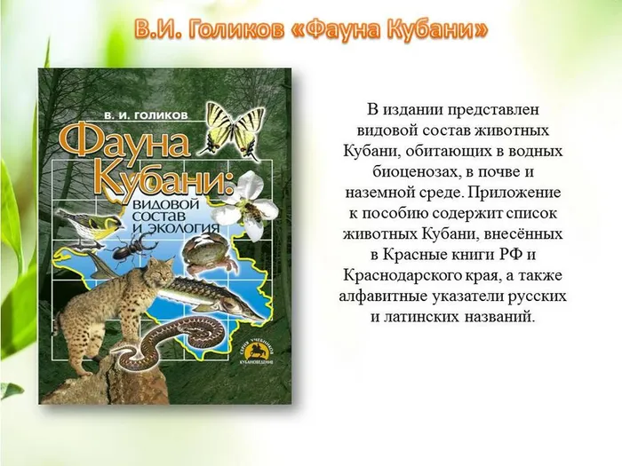 Слайд3