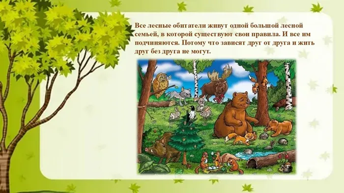 Слайд3