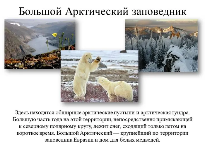 Слайд6.JPG