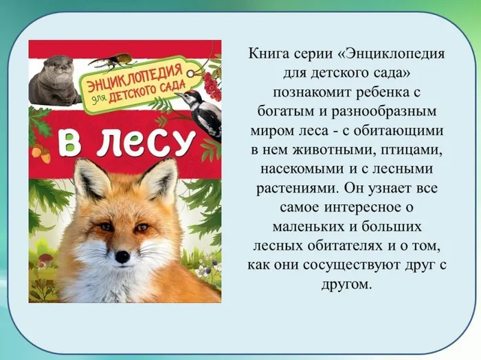 Слайд6