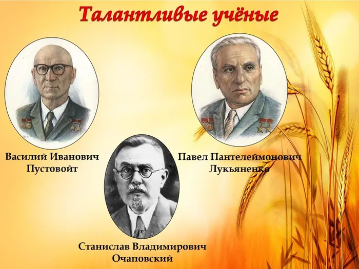 Мой край задумчивый и нежный_page-0005