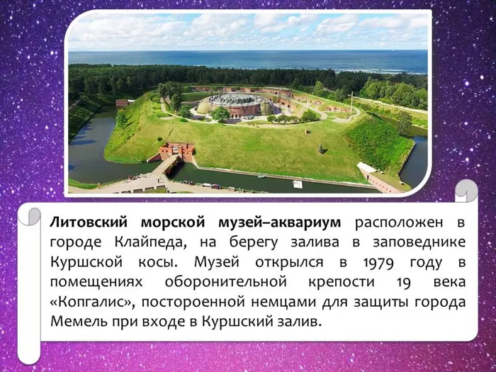 Слайд7