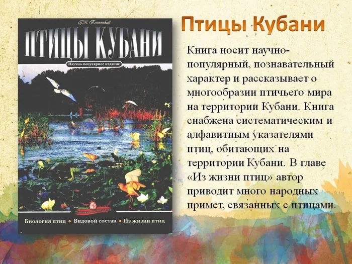 Слайд11