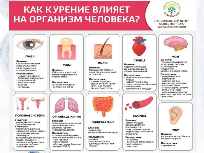 Слайд5