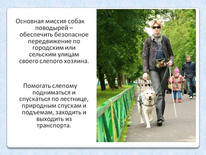 Слайд6