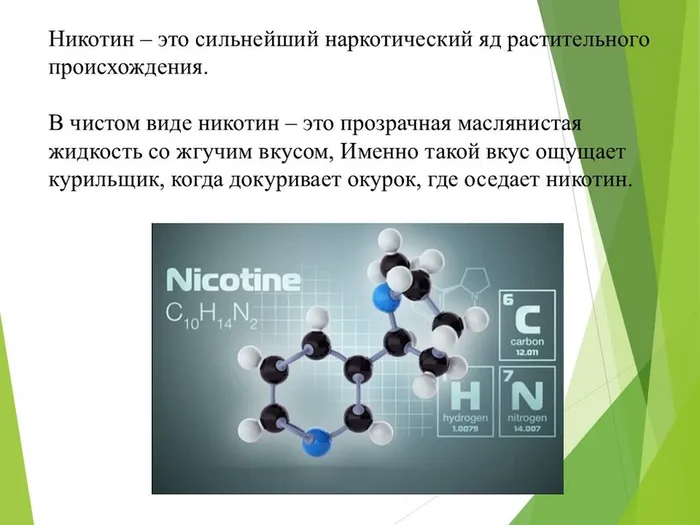 Слайд5