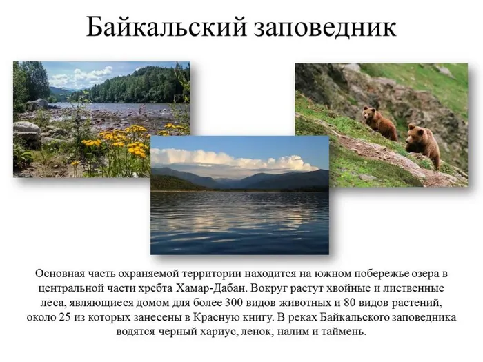 Слайд3.JPG