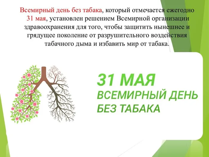Слайд2