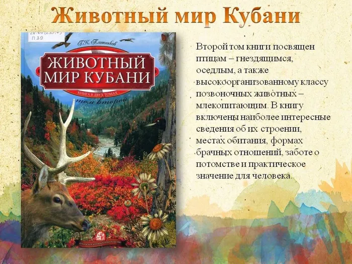 Слайд10