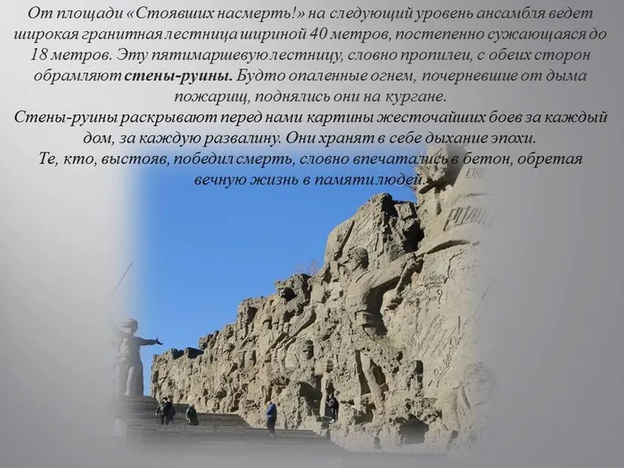 Слайд8