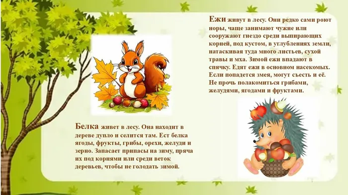 Слайд7